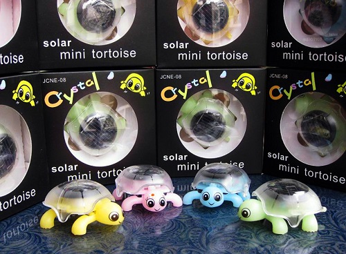 FR8-024 Solar Tortoise