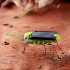 FR8-019 Solar Locust